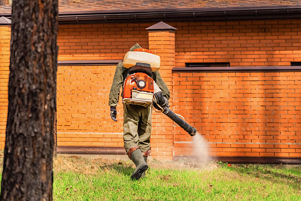 Bed Bug Clearance Verification and Documentation in Sheridan